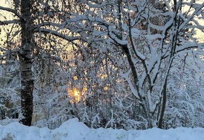 Onda de frio faz termômetros atingirem -40ºC na Finlândia e Suécia