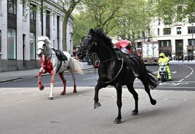 Cavalos militares fogem e deixam feridos no centro de Londres