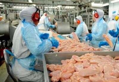 Filipinas retiram embargo a importações de frango brasileiro, afirma ABPA