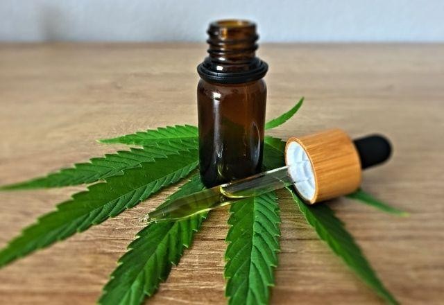 Senadora protocola projeto para suspender restrição do uso de cannabis medicinal