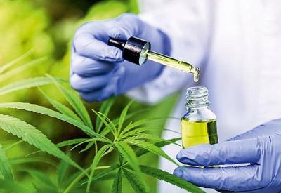 Anvisa aprova outro produto medicinal à base de Cannabis