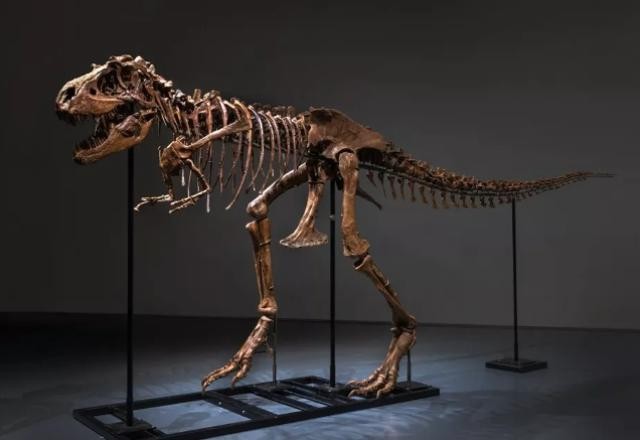 Esqueleto de dinossauro é vendido por R$ 31 milhões em leilão