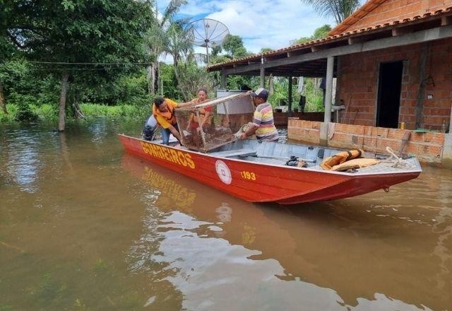 Sobe para 894 o número de pessoas afetadas pelas enchentes no Tocantins