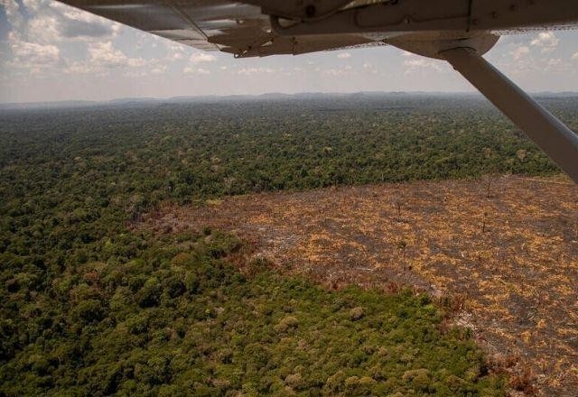 Amazônia tem maior número de focos de incêndio desde 2004, diz Inpe