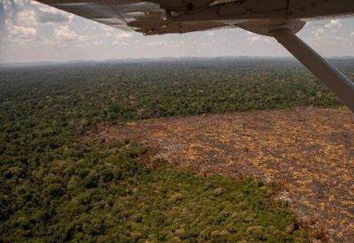Amazônia tem maior número de focos de incêndio desde 2004, diz Inpe