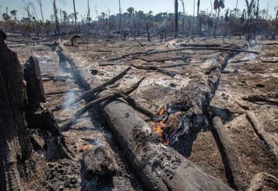 Número de focos de calor na Amazônia tem queda de 48% em agosto