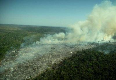 Desmatamento na Amazônia atinge pior primeiro semestre em 15 anos