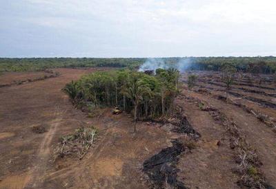 Amazônia perdeu 18 árvores por segundo em 2021, diz MapBiomas
