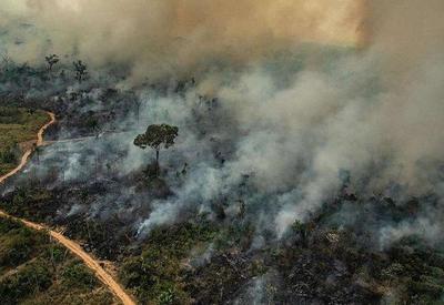 Brasil já acumula mais de 34 mil focos de incêndio desde o início do ano