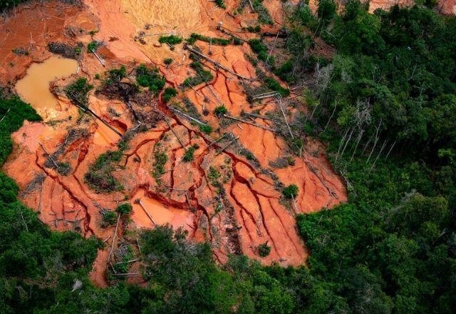 Desmatamento: terras indígenas do Pará estão entre as mais ameaçadas