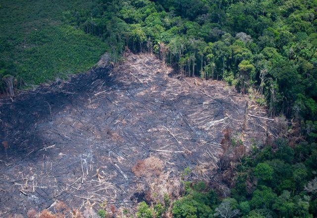 Desmatamento da Amazônia passa de 1 mil km² em abril