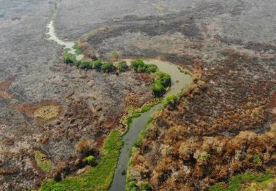 Greenpeace: produtores rurais podem ter iniciado queimadas no Pantanal