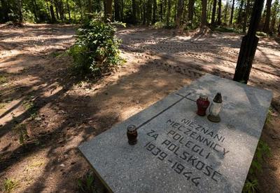 Cinzas de 8 mil vítimas do nazismo são encontradas em valas na Polônia