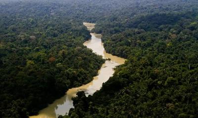 Lula quer projeto para recompensar estados por preservação florestal