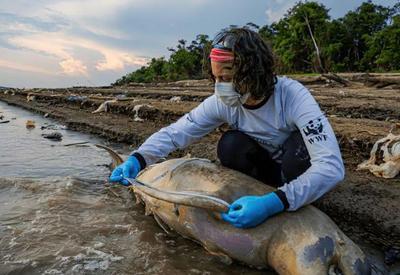 ICMbio investiga causas de mortes de botos no Amazonas