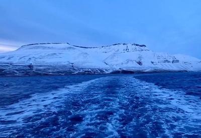 'Ártico - Além do Gelo': Série de reportagens mostra impactos do aquecimento global