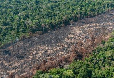 Amazônia registra pior primeiro semestre em desmatamento desde 2004