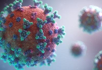 Coronavírus: o que se sabe sobre a XBB.1.5 até agora