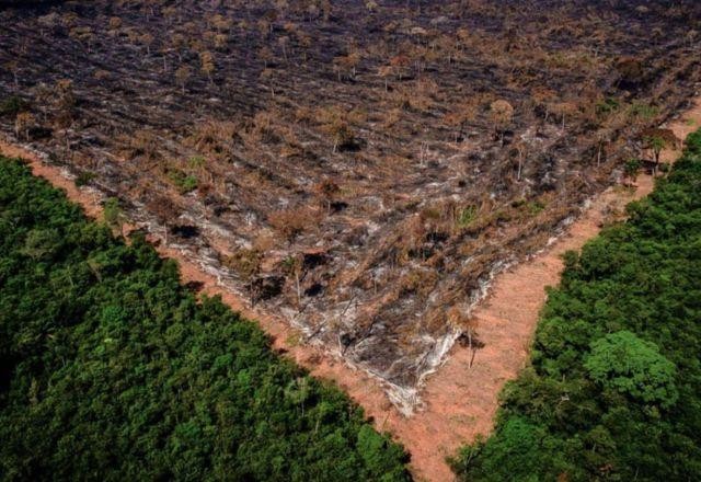 Floresta Amazônica registra o maior desmatamento em 15 anos