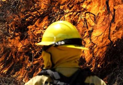 Incêndio florestal atinge Califórnia e 8 mil pessoas ficam desabrigadas