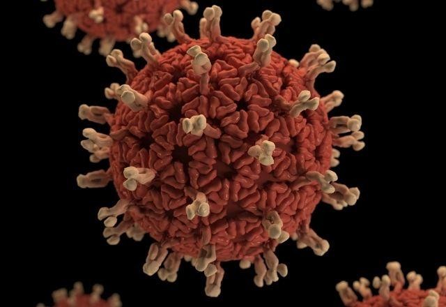 OMS pede US$ 23 bilhões para acabar com a pandemia em 2022