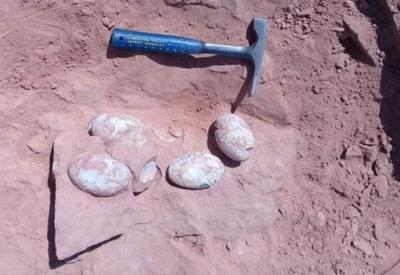 Paleontólogos acham ovos de dinossauro no interior de São Paulo