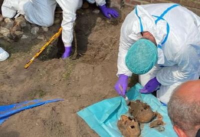 Coelhos desenterram ossos humanos do século XIX em jardim nos Países Baixos