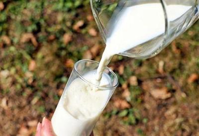 Preço do leite no Brasil supera cotação internacional