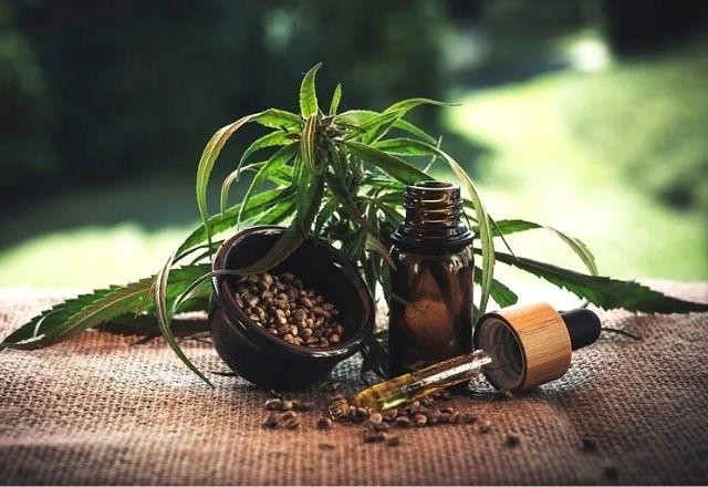 Anvisa autoriza décimo produto medicinal à base de cannabis