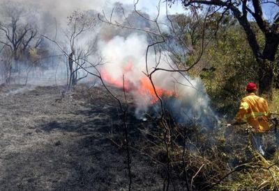 Governo de SP alerta para riscos respiratórios durante período de queimadas