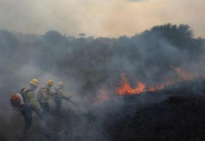 Reforço de 149 brigadistas chega a Manaus para combater incêndios florestais