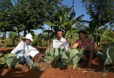 Agricultura familiar vai receber R$ 77 bilhões do Plano Safra