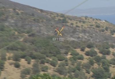 Vídeo: Avião que combatia incêndio florestal cai na Grécia
