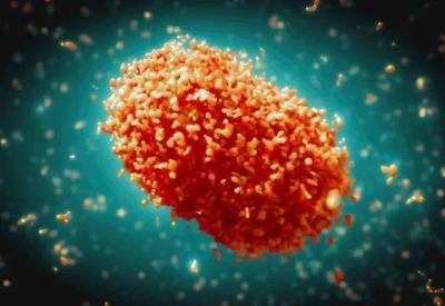 Congo vive surto de variante da Mpox; doença pode chegar ao Brasil? Entenda