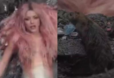 Shakira se assusta ao ver rato em cenário de clipe