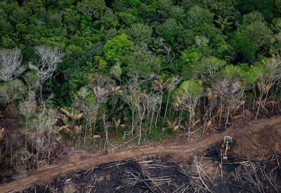 Alerta de desmatamento na Amazônia registra alta de 47,7% em setembro