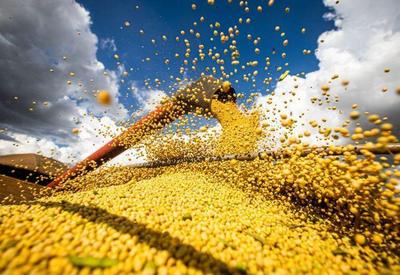 Safra de grãos é estimada em 310,6 milhões de toneladas, diz Conab