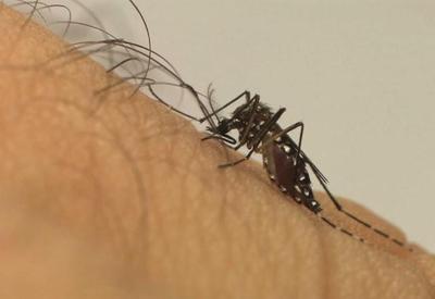 Rio de Janeiro registrou quase 4.500 casos de dengue nos primeiros 15 dias do ano