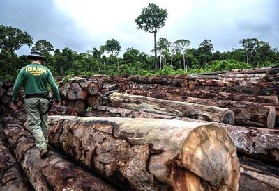 Floresta Amazônica registra 22% dos assassinatos de ambientalistas no mundo