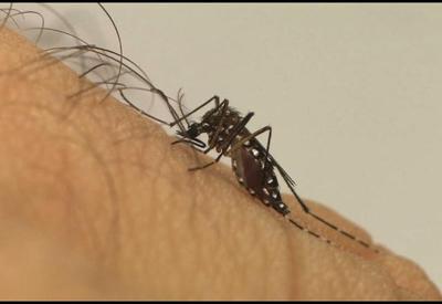Casos de dengue registram alta de 11% no Rio de Janeiro