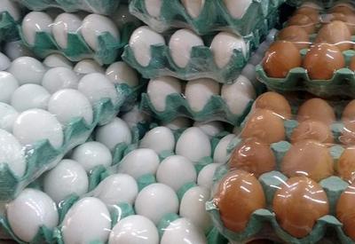 Com alta no preço da carne bovina, brasileiro passa a consumir mais ovos