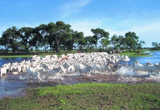 Projetos de Lei que mudam uso do solo em Mato Grosso geram polêmicas
