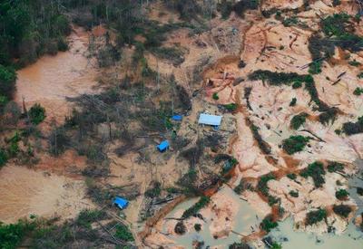 Área garimpada dobra em 10 anos e atinge 91,6% do bioma Amazônia