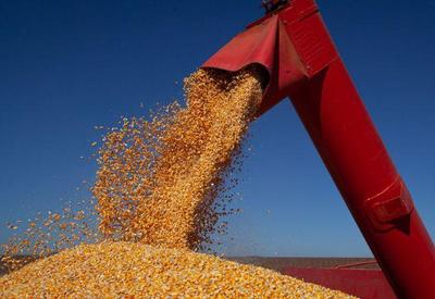 Exportações de milho acumulam alta de 92,3% no ano, diz Conab
