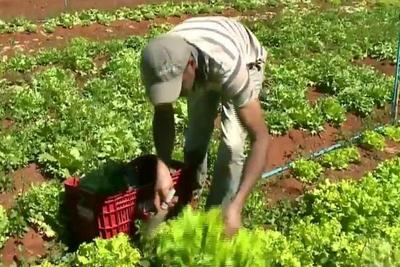Programa que beneficia agricultura familiar aceitará novos cadastros