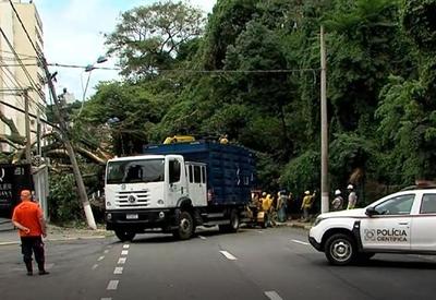 Árvore de grande porte cai em casas, carro e mata homem em Campinas (SP)