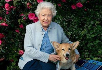 Cães da rainha Elizabeth devem morar com príncipe Andrew, em Royal Lodge