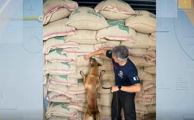 1,3 tonelada de café com cocaína é apreendida no Porto do Rio