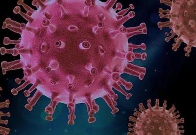 Faculdade detecta duas linhagens inéditas no Brasil de variante do coronavírus