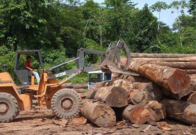 Quase 30% da exploração de madeira na Amazônia é ilegal, diz mapeamento
